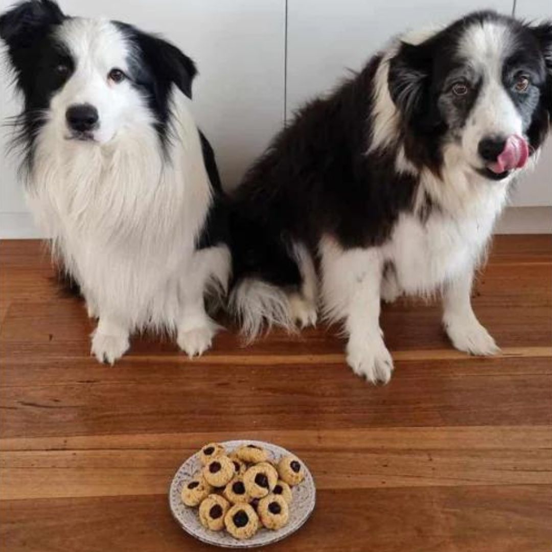 Mirri and Rays Fruit Biscuit Bites - A recipe for dogs!