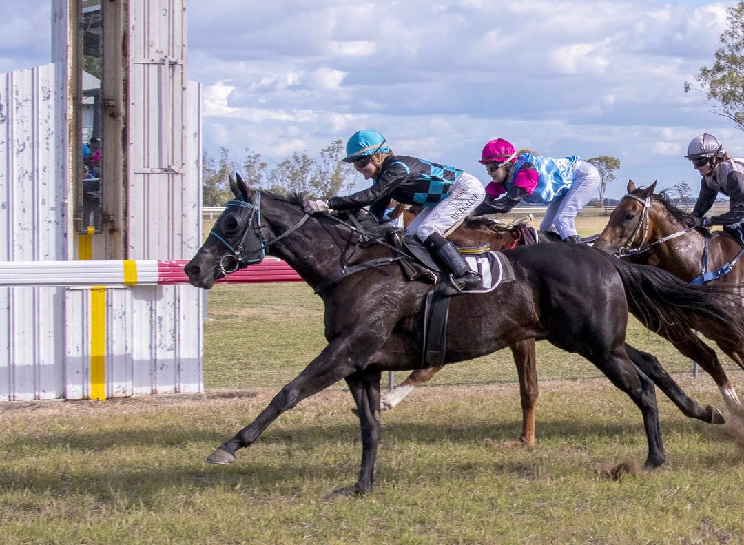 Equine Joint Support provides Huge Difference to Racehorses
