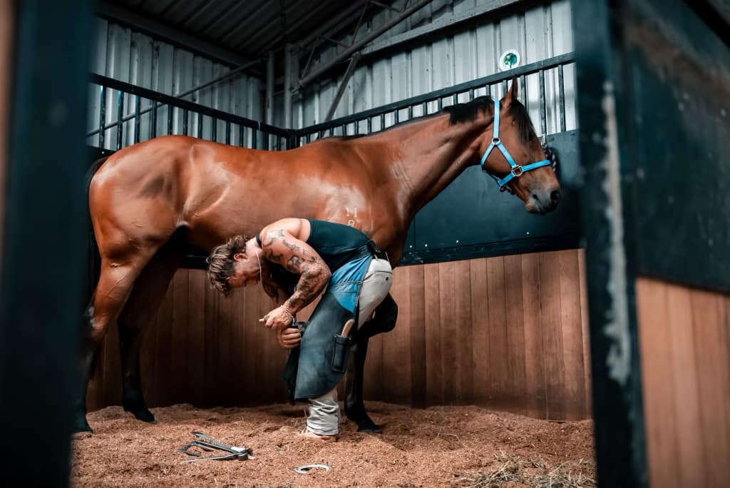 Master Farrier, Tom Mclackland, recommends Hoof Care Plus