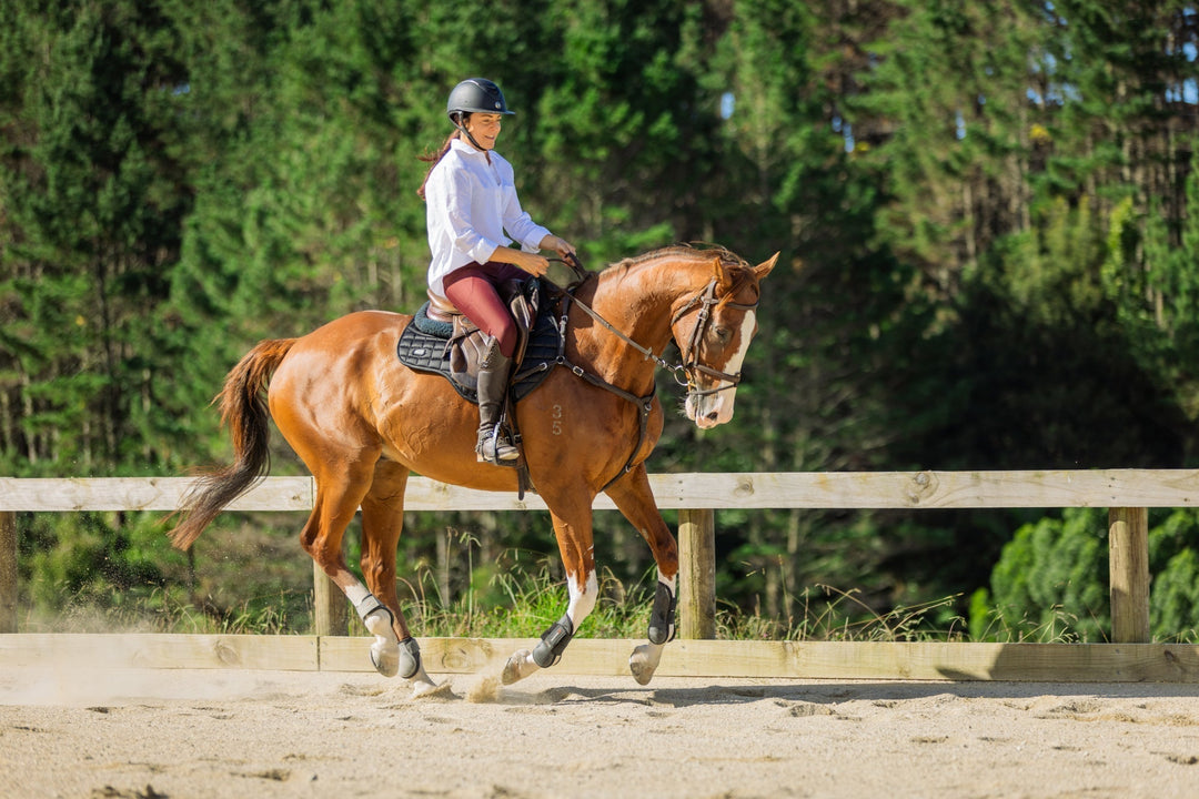 How can a joint supplement support your horse against arthritis