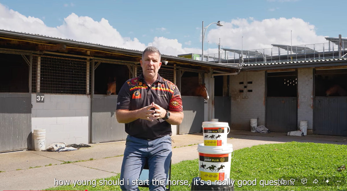 Preventing injury to your horse