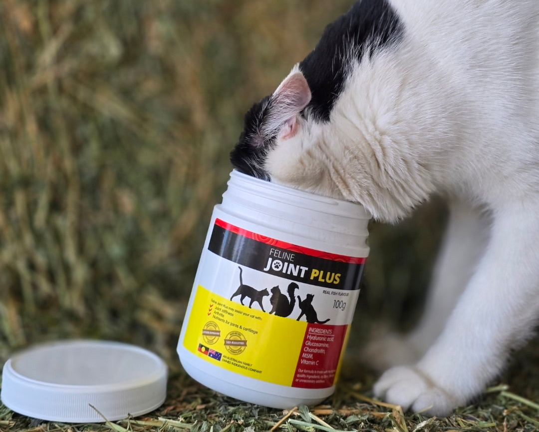 Cat Joint Health Supplements