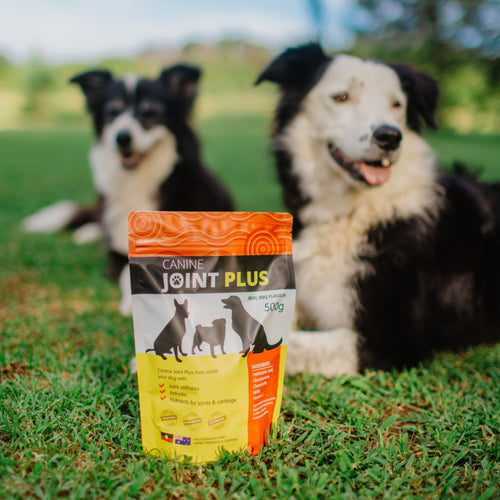 Canine Joint Plus™ 500g