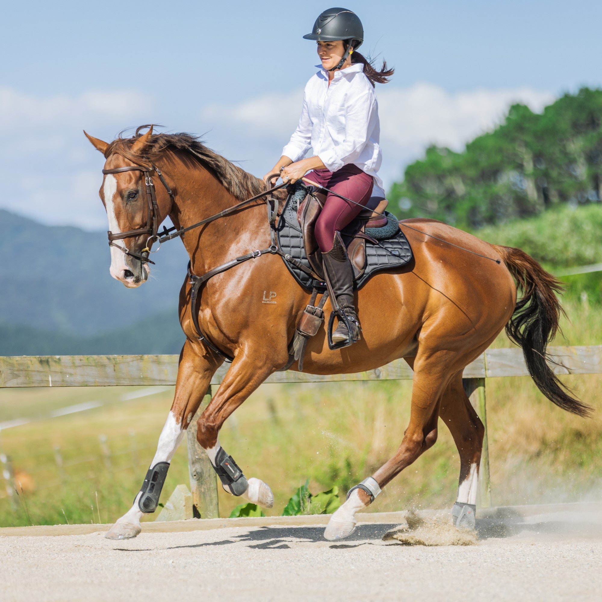 Equine Joint Plus™ 1.2kg