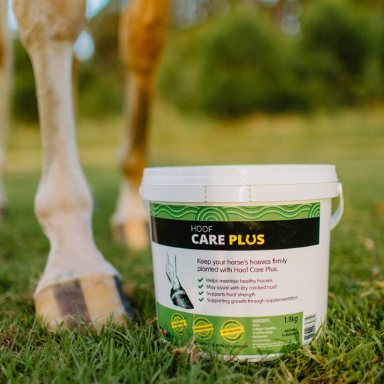 Hoof Care plus 1.8kg™️. Hoof Supplement for Healthy Hooves & Growth. Aussie Joint Health Ltd
