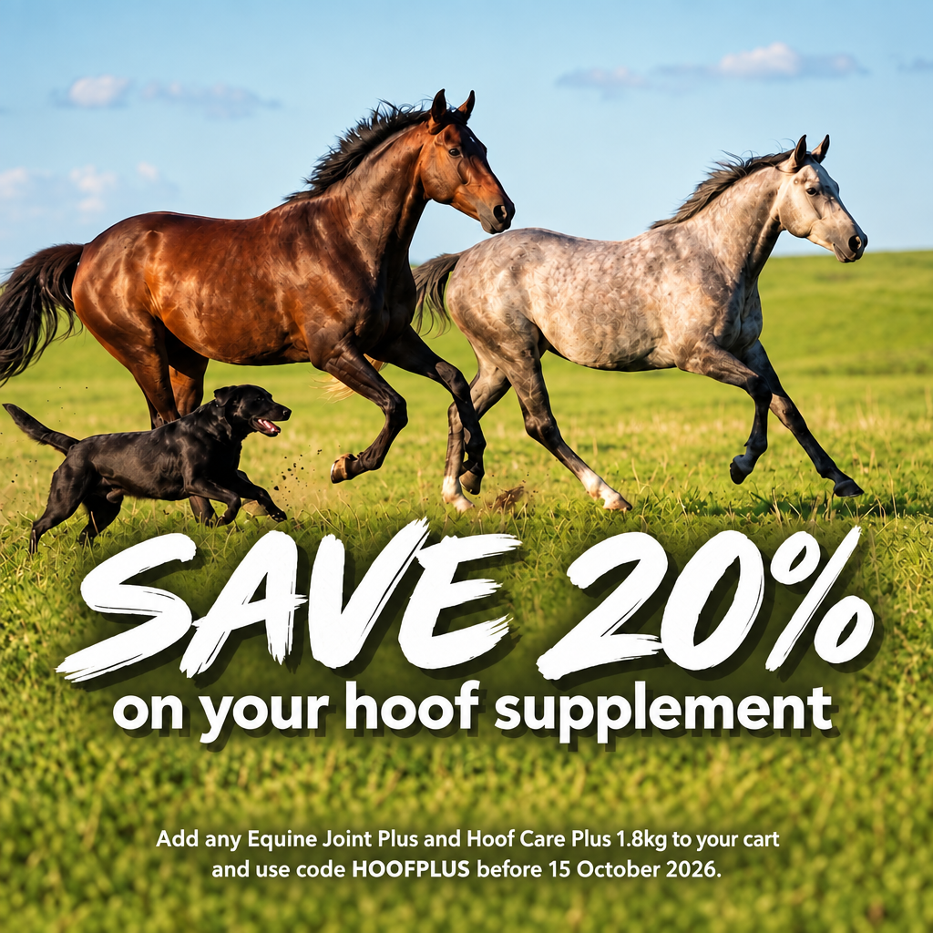 Equine Joint Plus™ 2kg