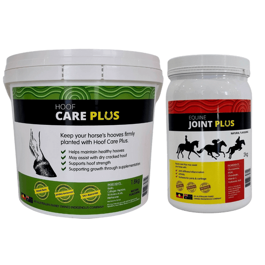 Equine Joint Plus Equine Canine Joint Plus